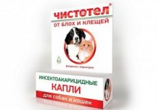 Капли “Чистотел” от блох и клещей для собак и кошек: показания к применению, инструкция, дозировки, аналоги и отзывы потребителей