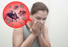 Симптомы аллергии на пылевого клеща у взрослых и детей и способы лечения недуга