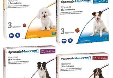 Реальные отзывы владельцев собак и ветеринаров о жевательных таблетках для собак от блох и клещей «Фронтлайн Нексгард»