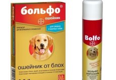Продукция «Больфо» от клещей для собак: как правильно применять спрей и ошейник, стоимость средств, ограничения и побочные эффекты