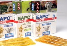 Средства «Барс» от клещей для собак и кошек: цена препаратов, инструкции по применению и отзывы реальных владельцев