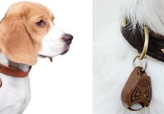 Ультразвуковой брелок от клещей для собак: что из себя представляет, как действует на паразитов, инструкция по использованию и отзывы