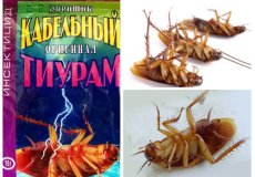 Средство от тараканов Тиурам: эффективно, но опасно
