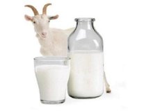Клещевой энцефалит и козье молоко: как происходит заражение, меры профилактики для предотвращения появления заболевания