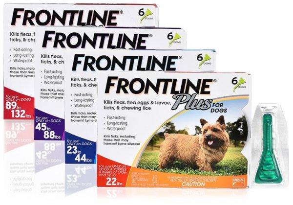 «Frontline»