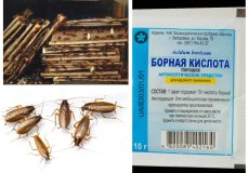 Народный рецепт, проверенный временем: борная кислота от тараканов!