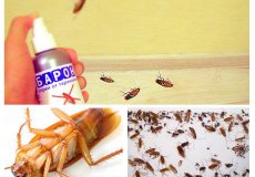 Средство от тараканов Барон: элитная защита вашей кухни!