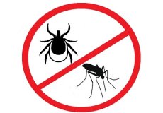 Узнайте, почему необходимо бороться с комарами и клещами, и как защититься от укусов кровососов